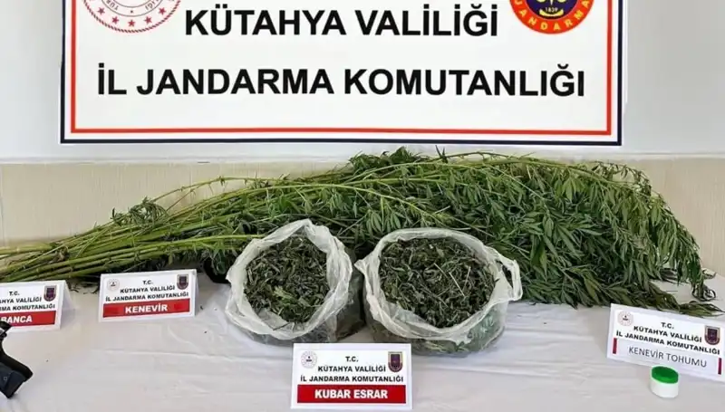 Kütahya'da Uyuşturucu Operasyonu: Tek Kişilik Yakalama ve Gözaltı Süreci