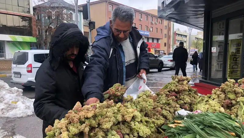 ** Kendiliğinden Yetişen Şifalı Bitki: Kanserin Yeni Umudu Mu?**