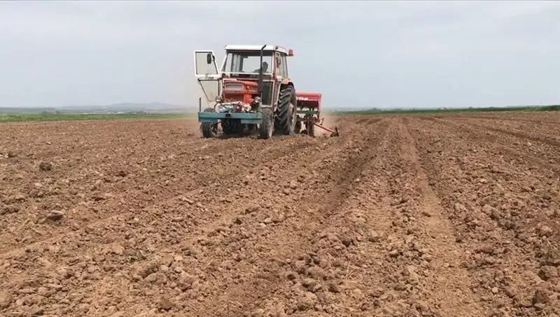 Son 35 Yılın En Kurak Mart Ayı: Hava Durumunun Geleceği Tehlikede